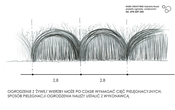 Ogrodzenie 'żywe' wierzbowe - do projektu ogrodu w stylu rustykalnym