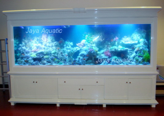 Aquarium air laut, ukuran 3 meter