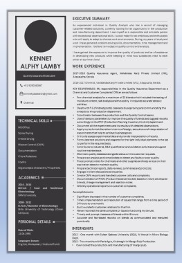 An Example of a Text Resume created by RESUME WRITER INDIA