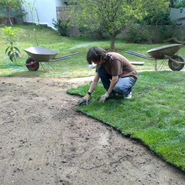 Elizabeth Villegas (Proyecto Paisaje Urbano Ltda.)