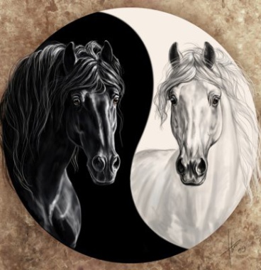 l"Essence Equine se pratique dans le champs en tenue de campagne. Il n'y a pas de monte à cheval.
Le Cheval joue le rôle du thérapeute par son comportement simple et logique.
La personne coachée apprend vite à identifier ses peurs puis à les transmuter en pratiques positives car - comme le cheval - chacun est une proie à ses propres peurs.