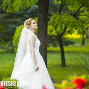 Studio Niebieski Ptak Fotografia Projektowanie Gra