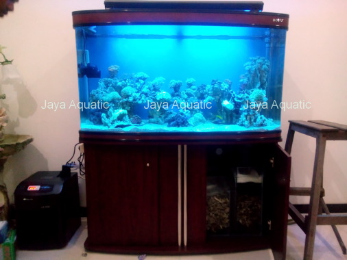 Aquarium air laut, ukuran 1,3 meter