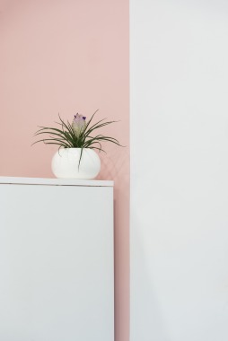 Diseño zapatería Ópalo