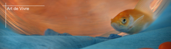 Scope Image