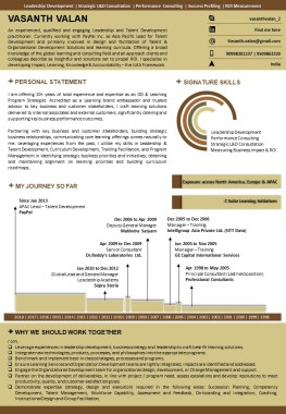 Visual Resume created by RESUME WRITER INDIA