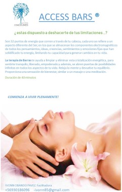 BARRAS DE ACCESO