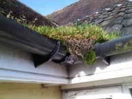 Over full gutter corner