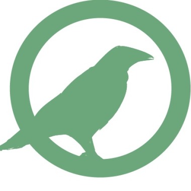 Corvis Gmbh