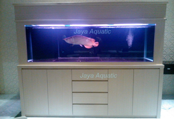 Aquarium Arowana, ukuran 2 meter