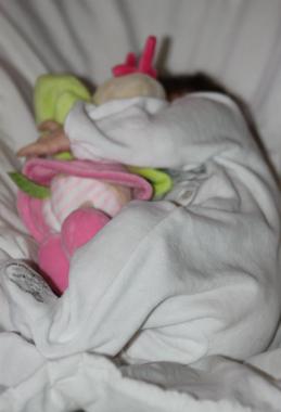 photos de bébés