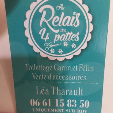 Les 10 Meilleurs Toiletteurs Pour Animaux A Chateaugiron Ille Et Vilaine