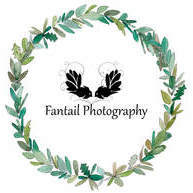 Fantail Photography