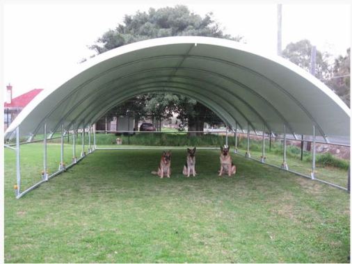 Dog Obedience Training