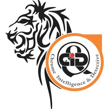 Chrome Hackers And Investigators