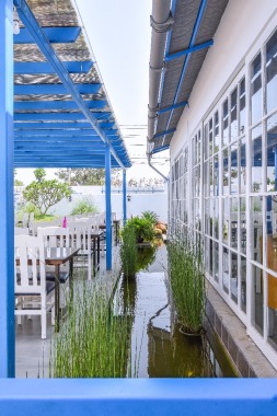Fish Pond @ Rural Blues Restobar