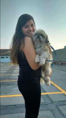 Bolota 
