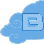 Buz Networks