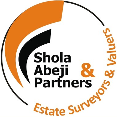 Professional: Shola Abeji
