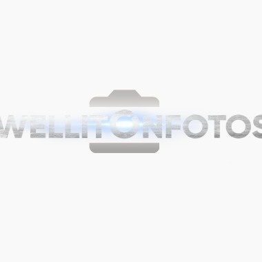 Well Fotos