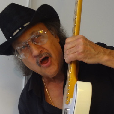 Georges Land Musicien Guitariste Chanteur Clavier Professionnel