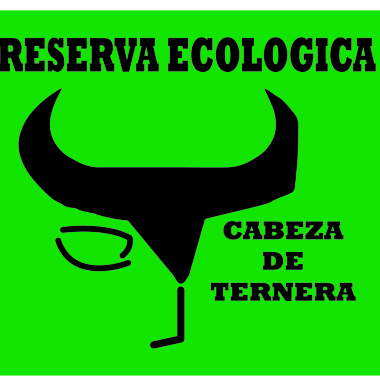 Cabeza De Ternera Multioperacional