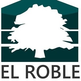 Ing. Alfredo Robles