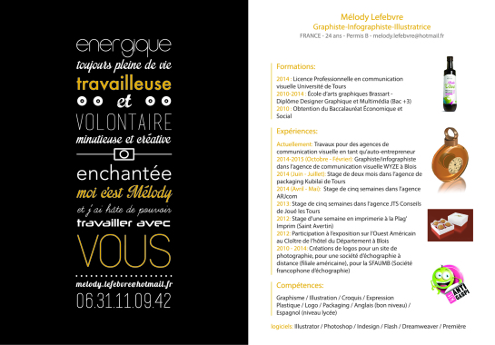 Mon Curriculum Vitae.