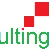 Pt Snf Consulting