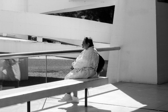 Fotografia Livre