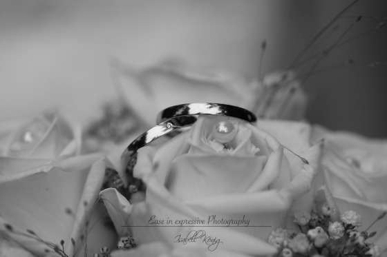 Hochzeit - Aufnahme