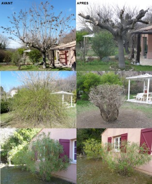 AVANT/APRES JARDINAGE