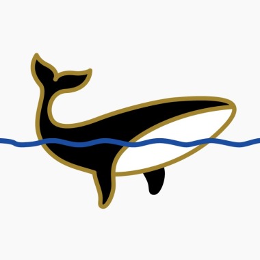 The Whale Photographer