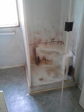 This is a before(after an initial clean) picture of shower.  It was black with mould before we started.
