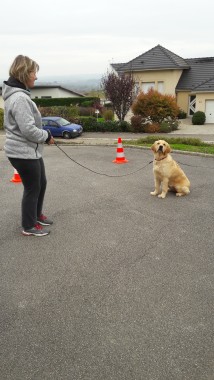 Dressage avec les membres de la famille