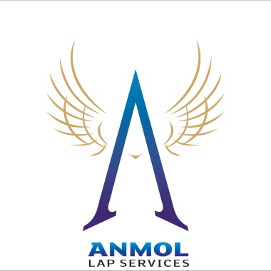 Anmol Lap Services