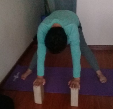 Yoga con bloques