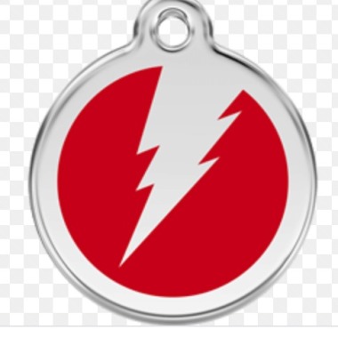 Flash Dog