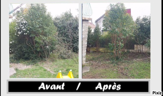Taille+ désherbage (sans pesticides)