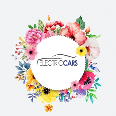 Anna I Arkadiusz Kończak Electric-Cars