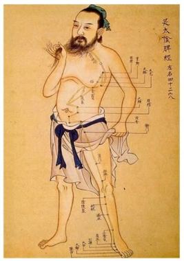 Chinese Acupuncture...the Meridians
