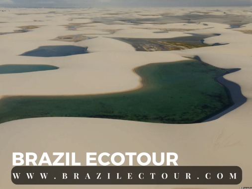 Lencois Maranhenses Brésil 