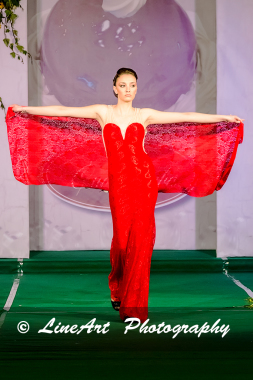 Sfilata di Moda !