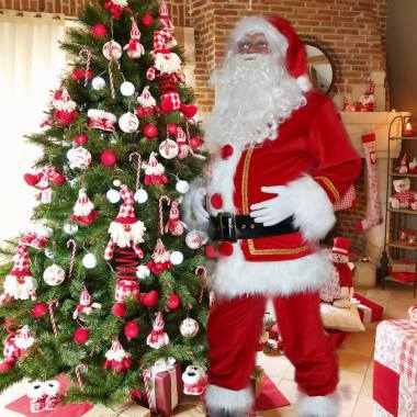 A  coté d'un beau  sapin, je me  sens  toujours  un peu  chez moi !