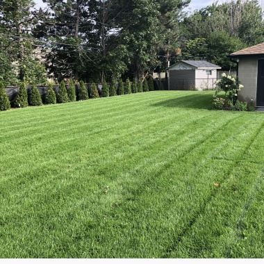 Michael'S Maintenance Company