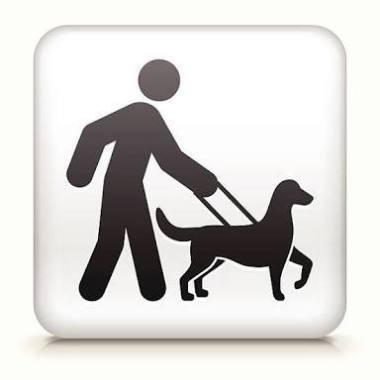 Dog Walker (Passeador De Cães)