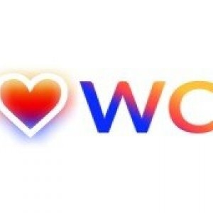 Wordpress Development