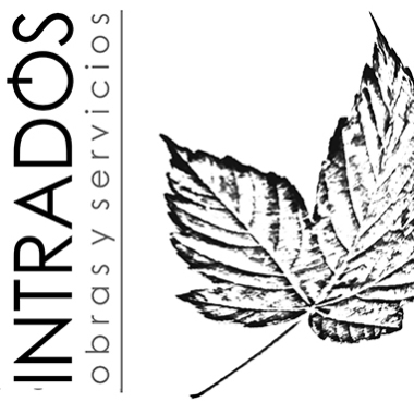 Intradós