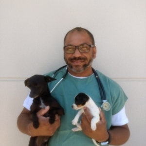 Erivet Atendimento Veterinário