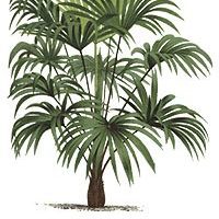 Les Jardins D'Eric